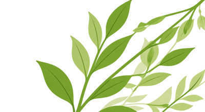 Fresh herbs